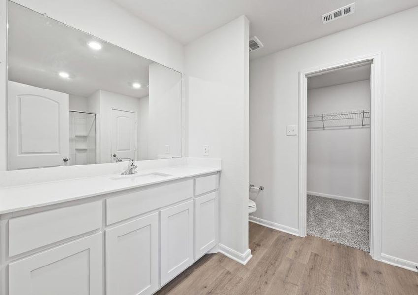 The master bathroom has a large vanity with plenty of counterspace.