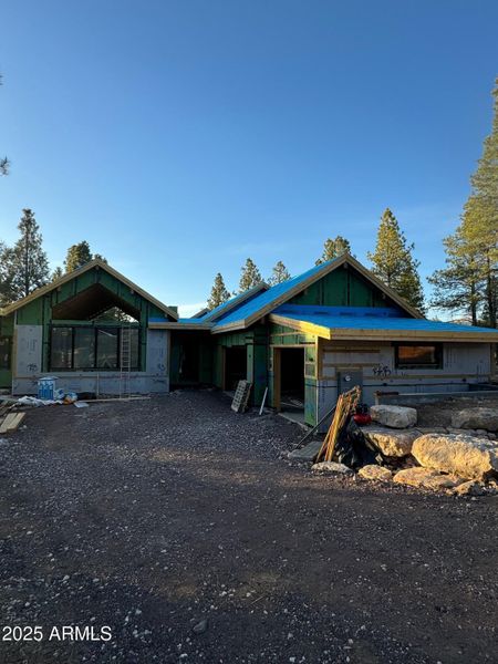 IMG_9630 2 IMG_9630 2