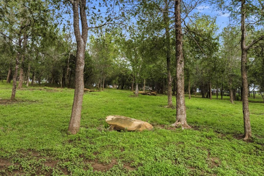 Spread out across a full acre of land, this expansive, usable lot offers endless possibilities for putting in a pool, gardening, or playing