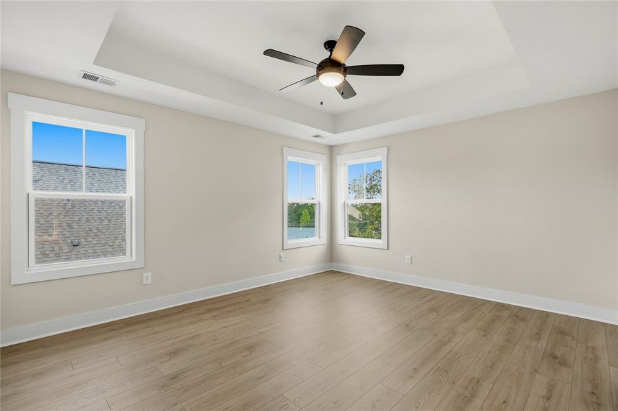 A tray ceiling and wood-plank flooring define this