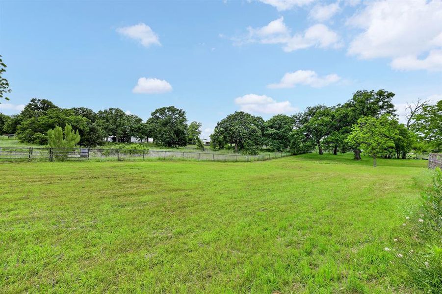 Gorgeous Property with mature trees and plenty of room to roam
