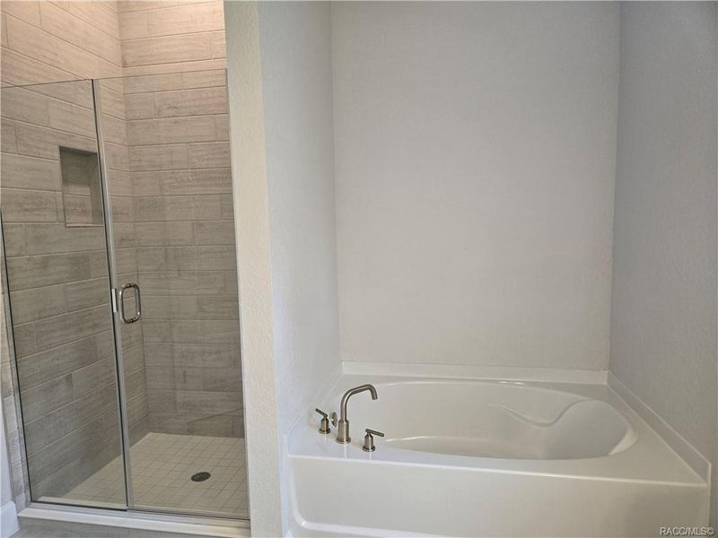 Furnished interior view inside a new home in Wyld Palms, Inverness (Image 8).