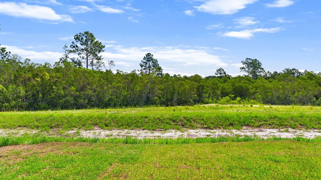 Natural landscape and outdoor views near Salt Pines in Port Saint Joe (Image 35). Natural landscape and outdoor views near Salt Pines in Port Saint Joe (Image 35).