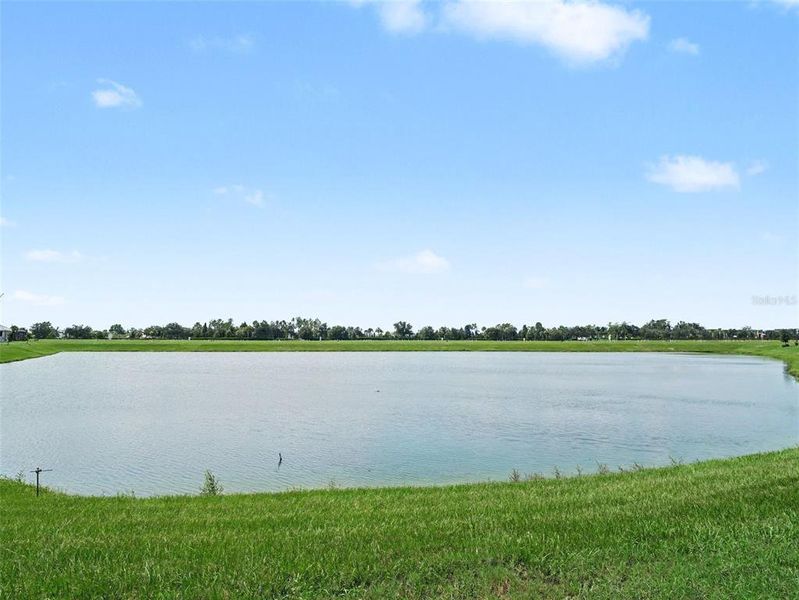 Natural landscape and outdoor views near  in Parrish (Image 29).