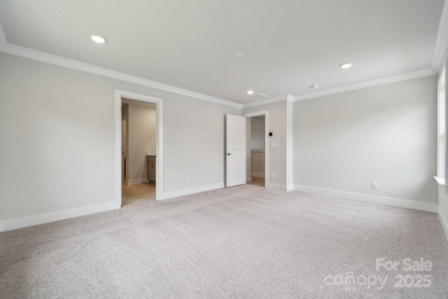 Representative picture