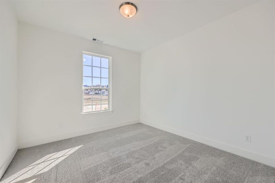 Unfurnished room featuring carpet