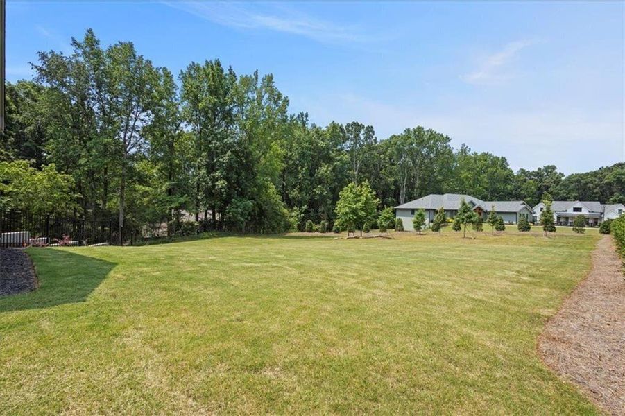 Natural landscape and outdoor views near  in Gainesville (Image 46).