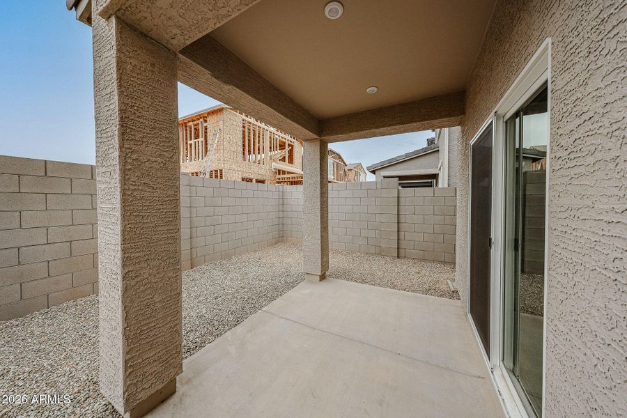 28_North-Copper-Canyon_Iris_Lot-63_New-C