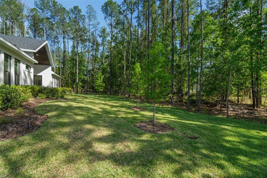 Natural landscape and outdoor views near  in Brooksville (Image 56).
