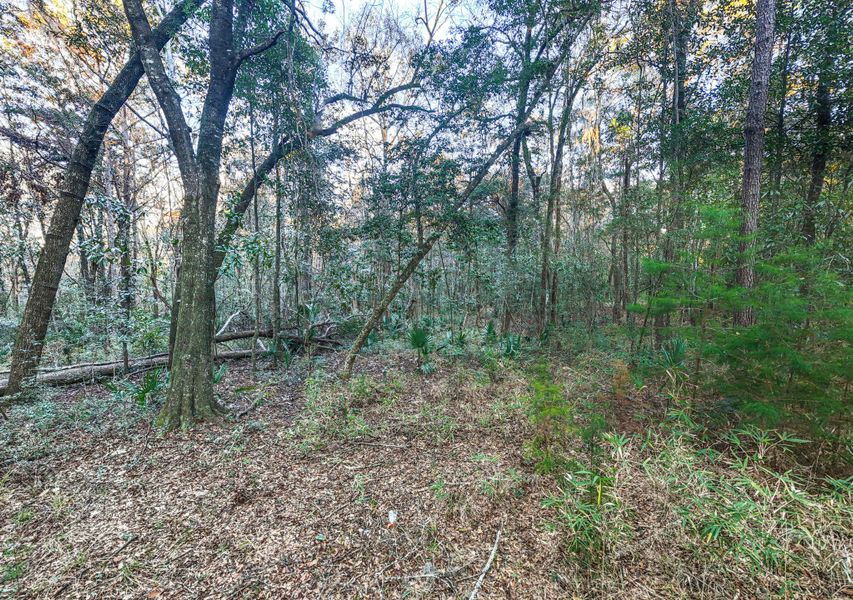 Natural landscape and outdoor views near in Dorchester (Image 23). Natural landscape and outdoor views near in Dorchester (Image 23).