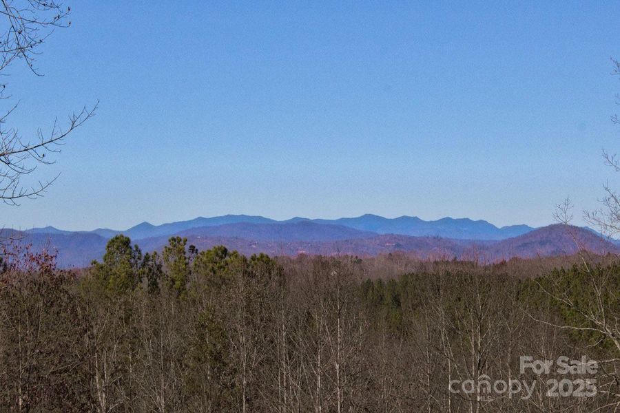 Natural landscape and outdoor views near  in Rutherfordton (Image 15).
