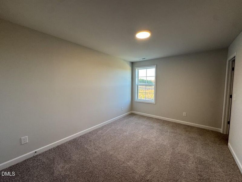 Photo Nov 16 2025, 3 48 11 PM (Medium)