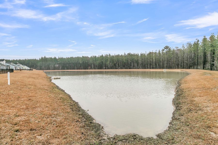 Natural landscape and outdoor views near Homecoming in Ravenel (Image 59).
