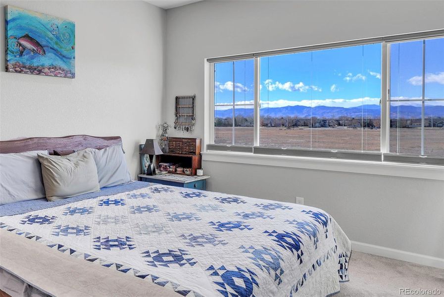 Primary Bedroom with Mountain Views