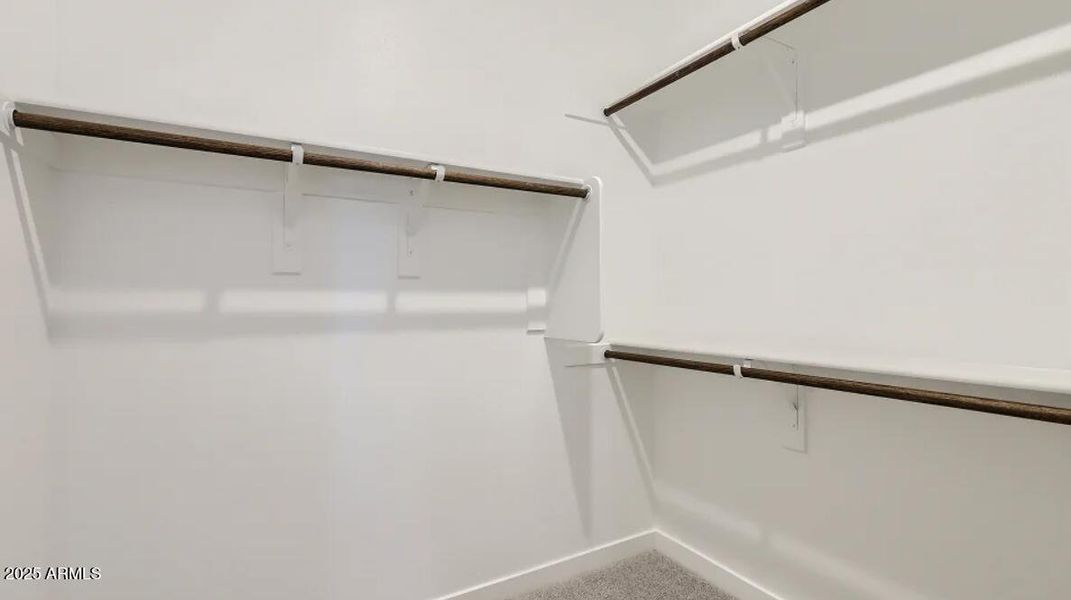 Owners Walk in Closet