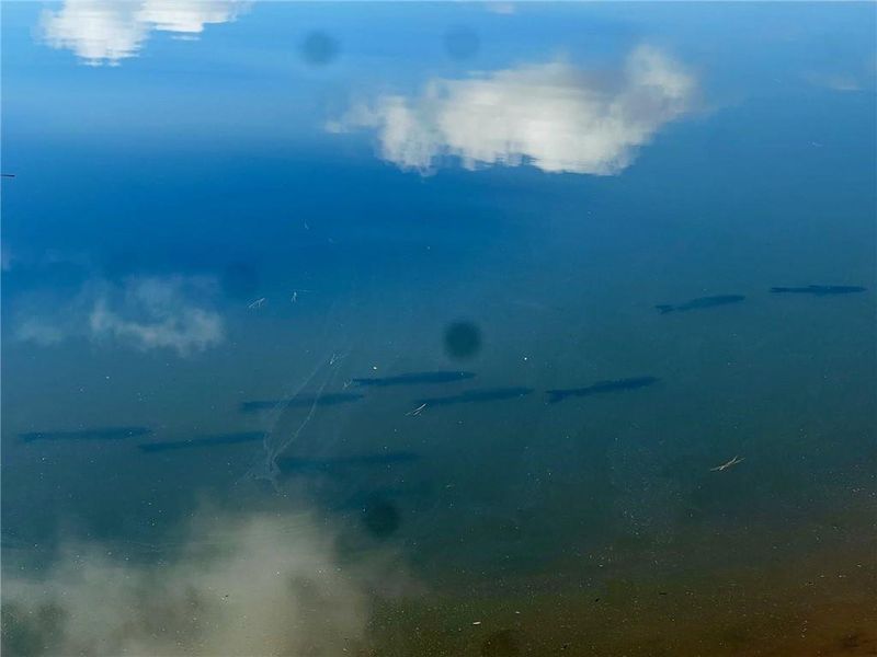 Natural landscape and outdoor views near  in Eatonton (Image 20).