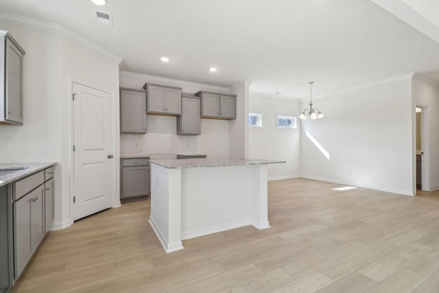 16-web-or-mls-Flat Coat Ln-010