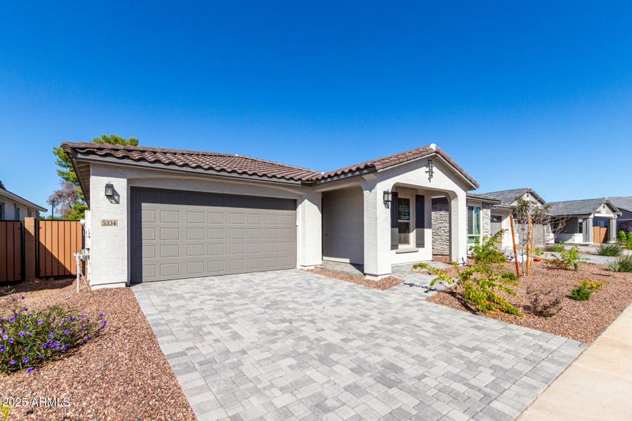 05 - Las Palmaritas 05 - Las Palmaritas