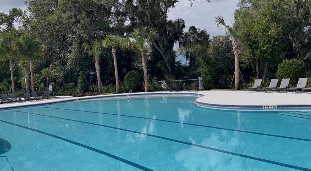 Community amenities in , Tavares (Image 14).