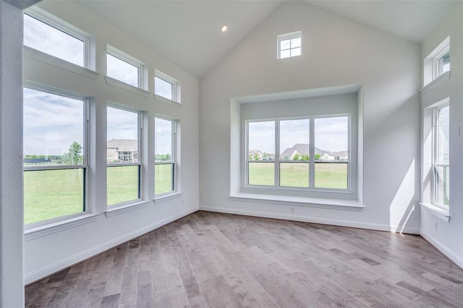 Spare room with a healthy amount of sunlight, high vaulted ceiling, and hardwood / wood-style floors