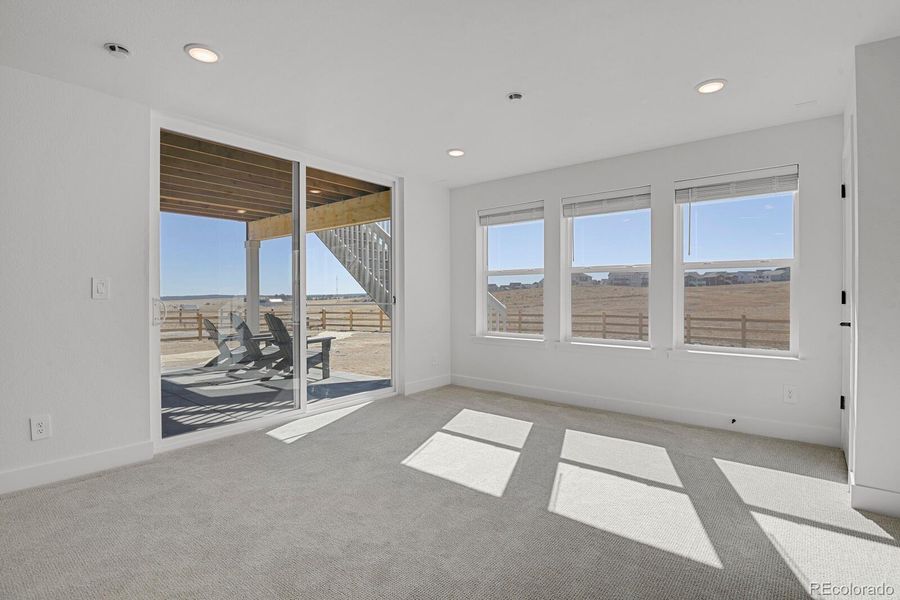 Walkout basement - Sunlit with windows throughout