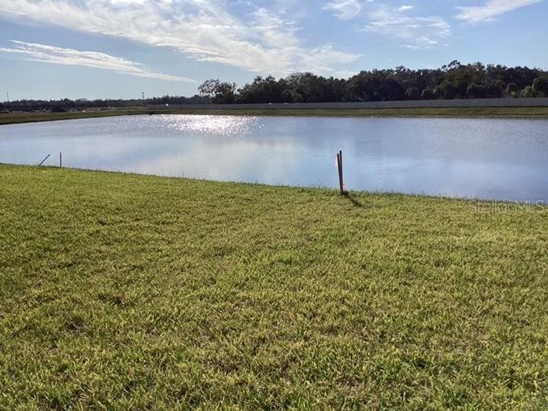 Natural landscape and outdoor views near Pepper Grove I in Palmetto (Image 9). Natural landscape and outdoor views near Pepper Grove I in Palmetto (Image 9).
