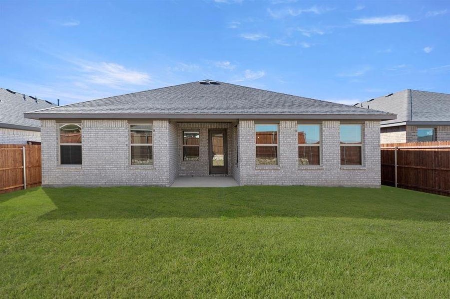 26. 116 Coyote - Back 26. 116 Coyote - Back