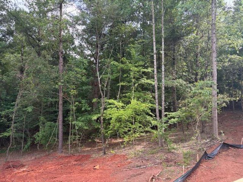 Exterior details and patio area of a home in Eagle Heights, Maysville (Image 23). Exterior details and patio area of a home in Eagle Heights, Maysville (Image 23).