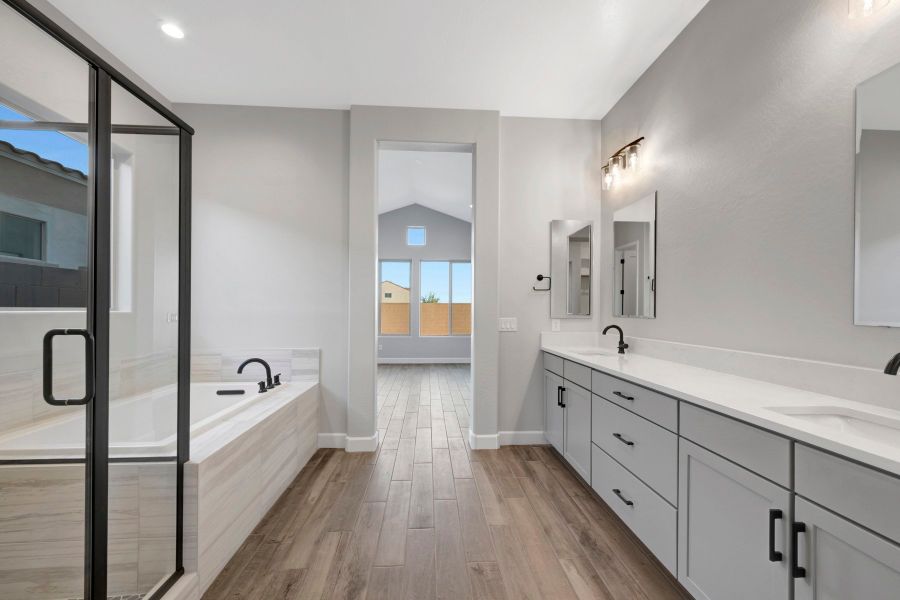 Owner's Bath