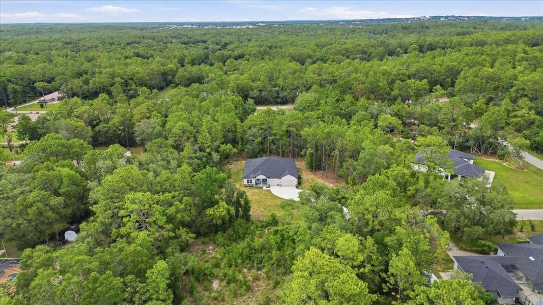Natural landscape and outdoor views near in Hernando (Image 46). Natural landscape and outdoor views near in Hernando (Image 46).