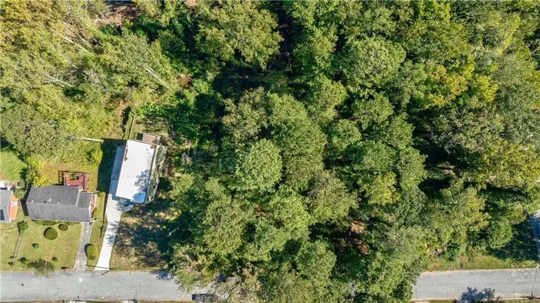 Natural landscape and outdoor views near  in Hapeville (Image 34).