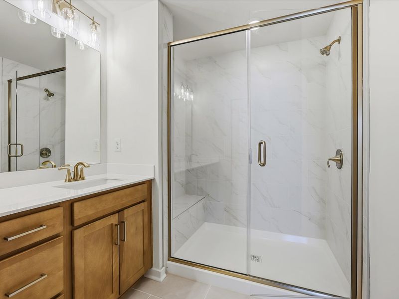 Owner's Bath