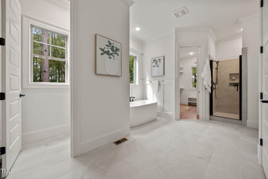 41-web-or-mls-IMG_9580