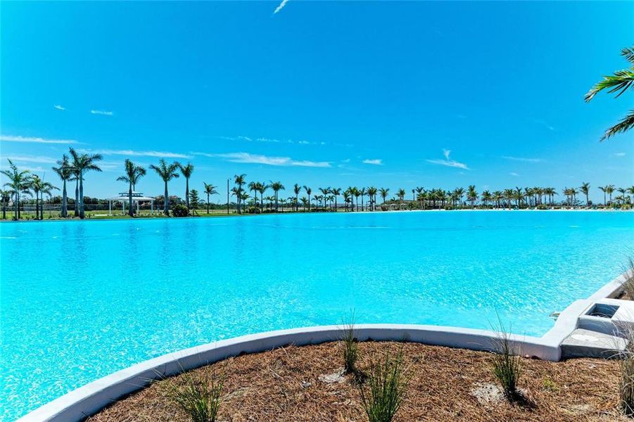 Community amenities in , Bradenton (Image 73). Community amenities in , Bradenton (Image 73).