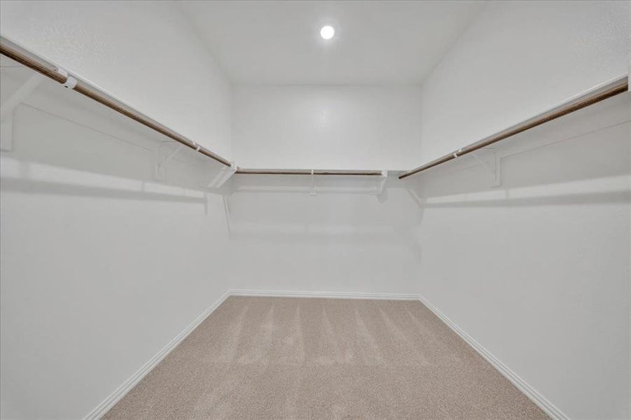 Spacious closet with carpet floors Spacious closet with carpet floors