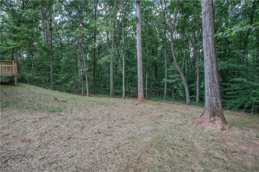 Natural landscape and outdoor views near  in Carrollton (Image 23).