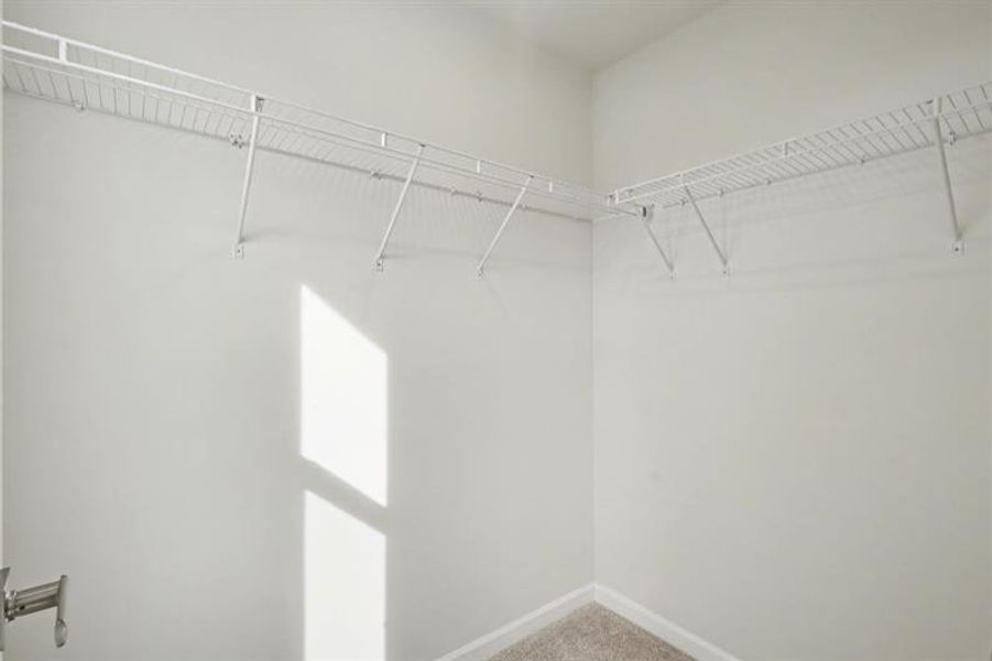 Spacious, unfurnished interior of a new home in Sterling Oaks, Ash (Image 23).