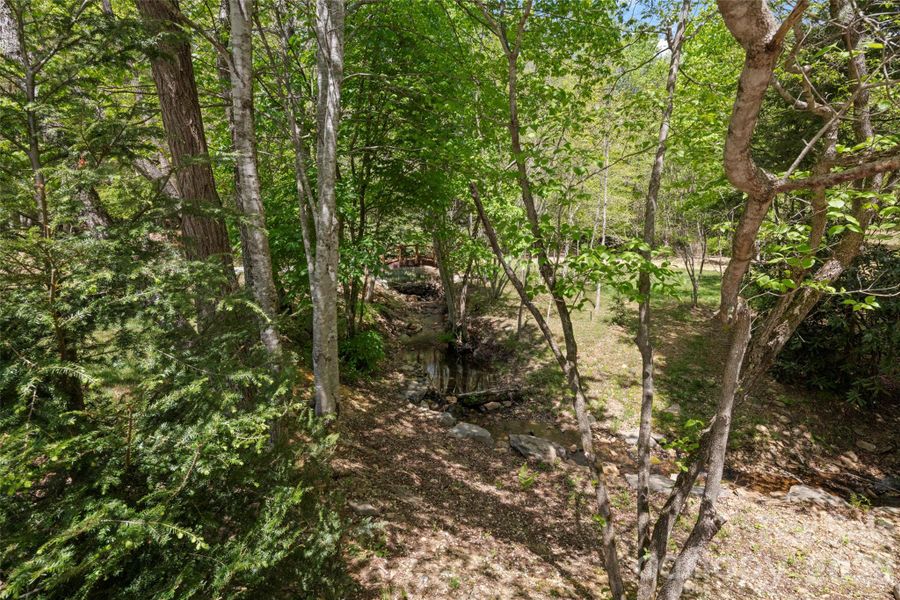Natural landscape and outdoor views near  in Black Mountain (Image 34).