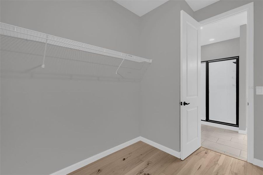 Spacious, unfurnished interior of a new home in Seasons at Lakeside Forest, Tavares (Image 22).