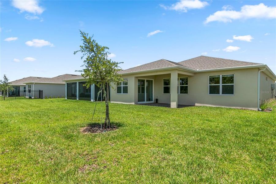 nice sized back yard