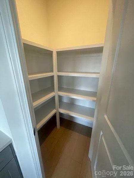 Large Pantry with solid Shelving