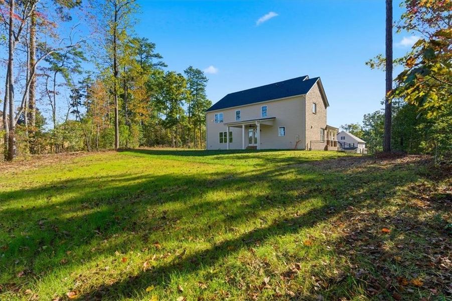Exterior details and patio area of a home in The Estates at Hurricane Pointe, Douglasville (Image 3).