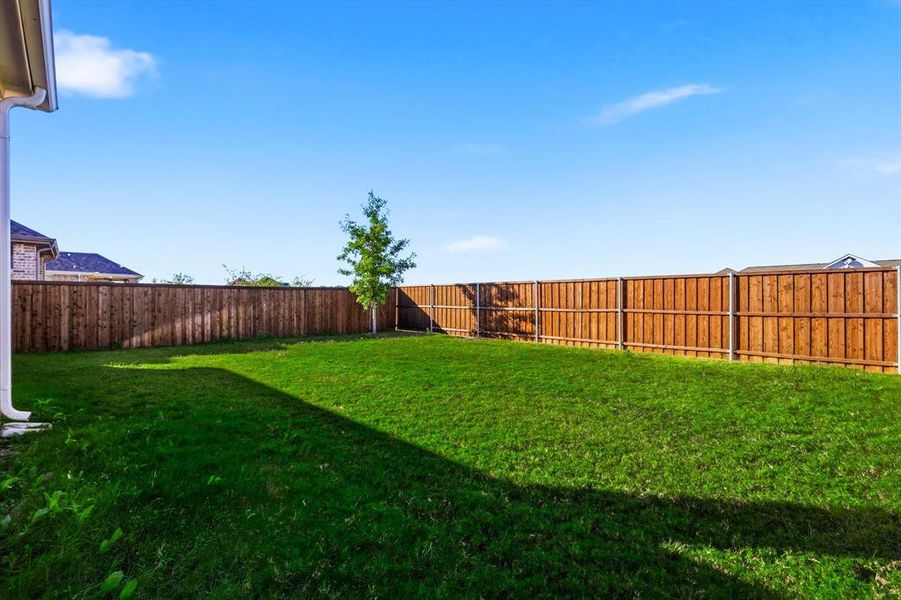 View of fenced backyard