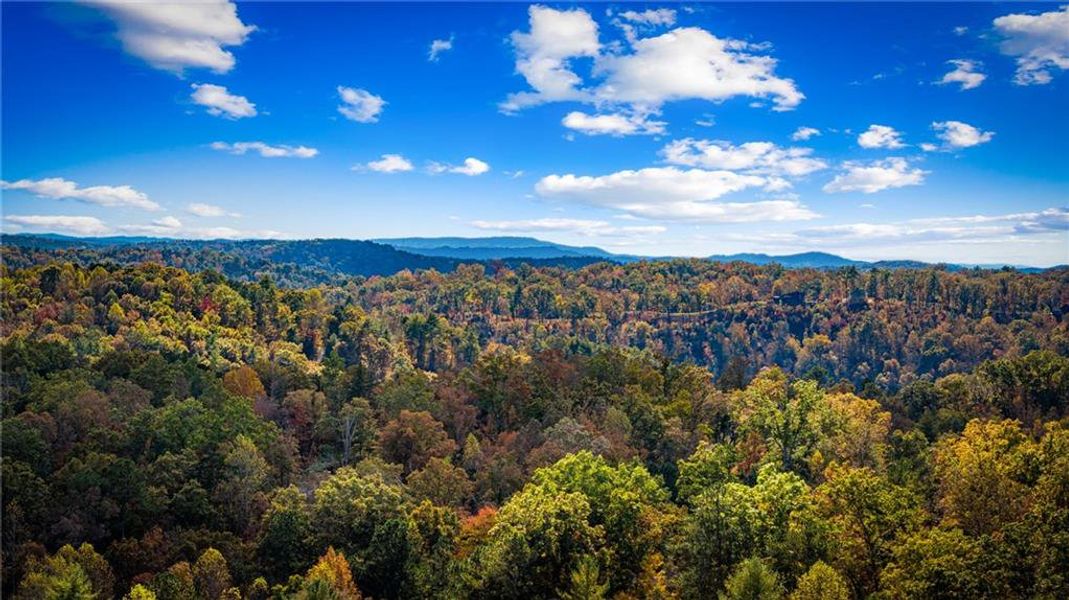 Natural landscape and outdoor views near  in Ellijay (Image 59).