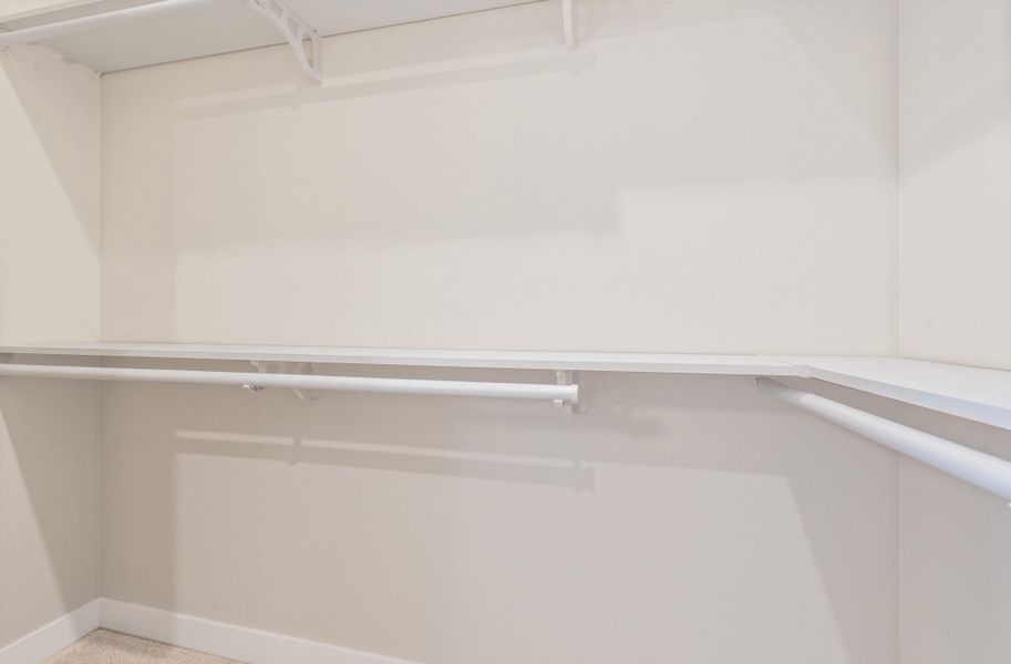 Walk in closet featuring carpet floors