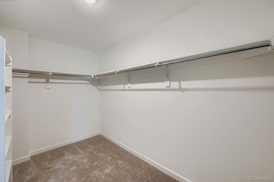 Spacious, unfurnished interior of a new home in Percheron: The Camden Collection, Colorado Springs (Image 9).