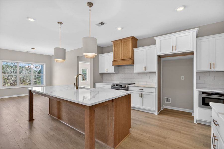 Furnished interior view inside a new home in Blackwelder Bluff, Bowdon (Image 11).