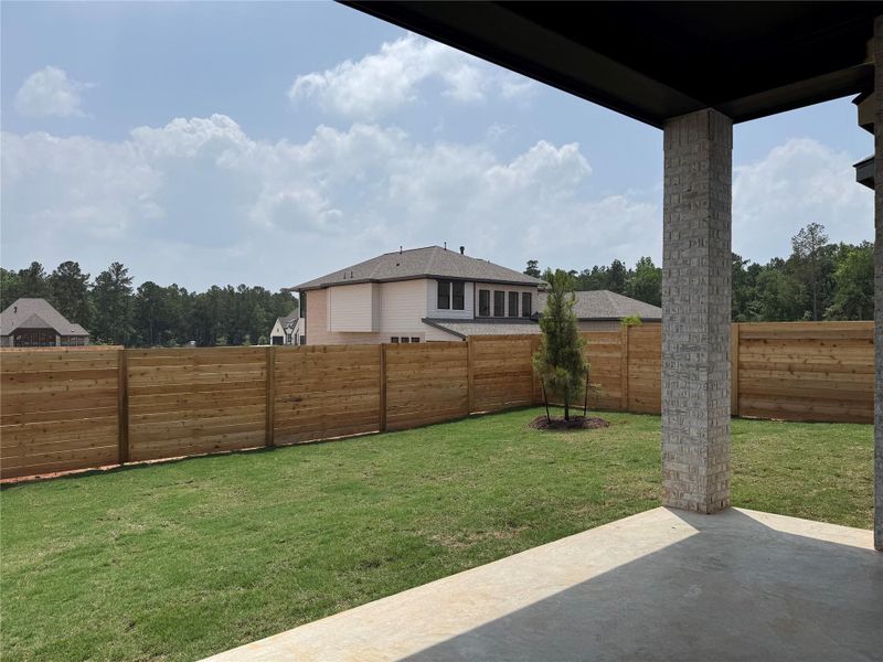 Backyard