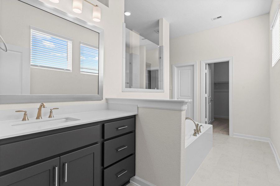 Primary bath view showcasing private vanities, deep undermount sinks, custom bathroom cabinets with cabinet and yes draws!