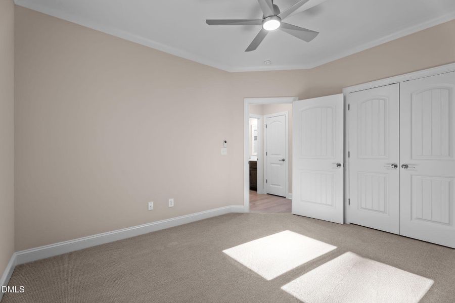 34-web-or-mls-DSC06073